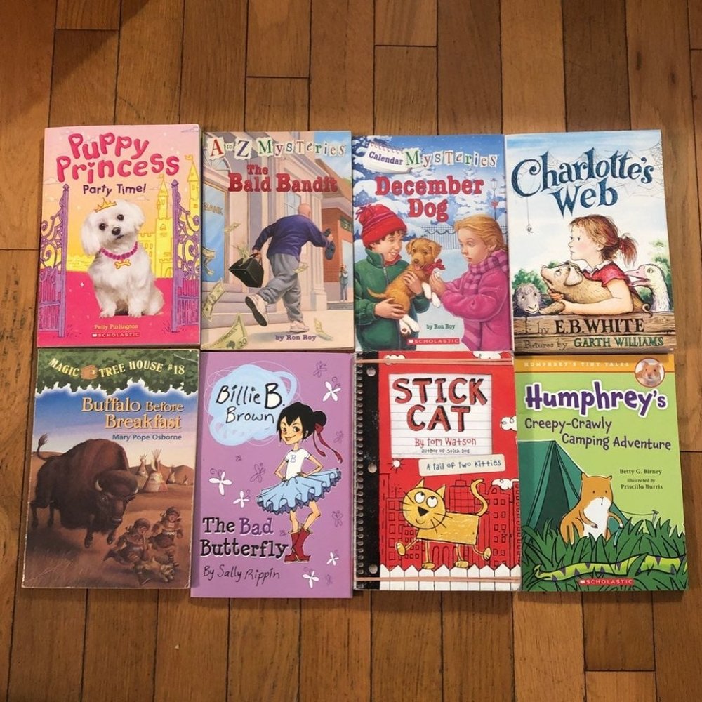 Kid's Chapter Book Lot